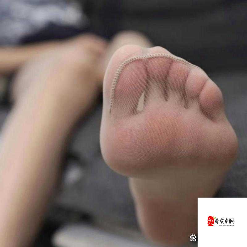 丝袜脚交免费网站❌Xx背后：为什么我们总想用“猎奇”填补内心的空洞？