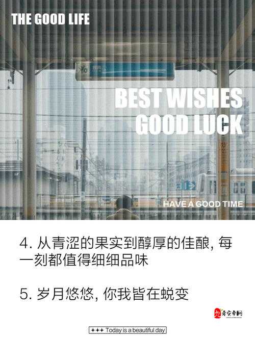 Bzzes💋成熟：从褪去青涩到绽放智慧的人生蜕变