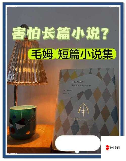 少年被改造雌堕调教小说：人性力量与成长的隐喻
