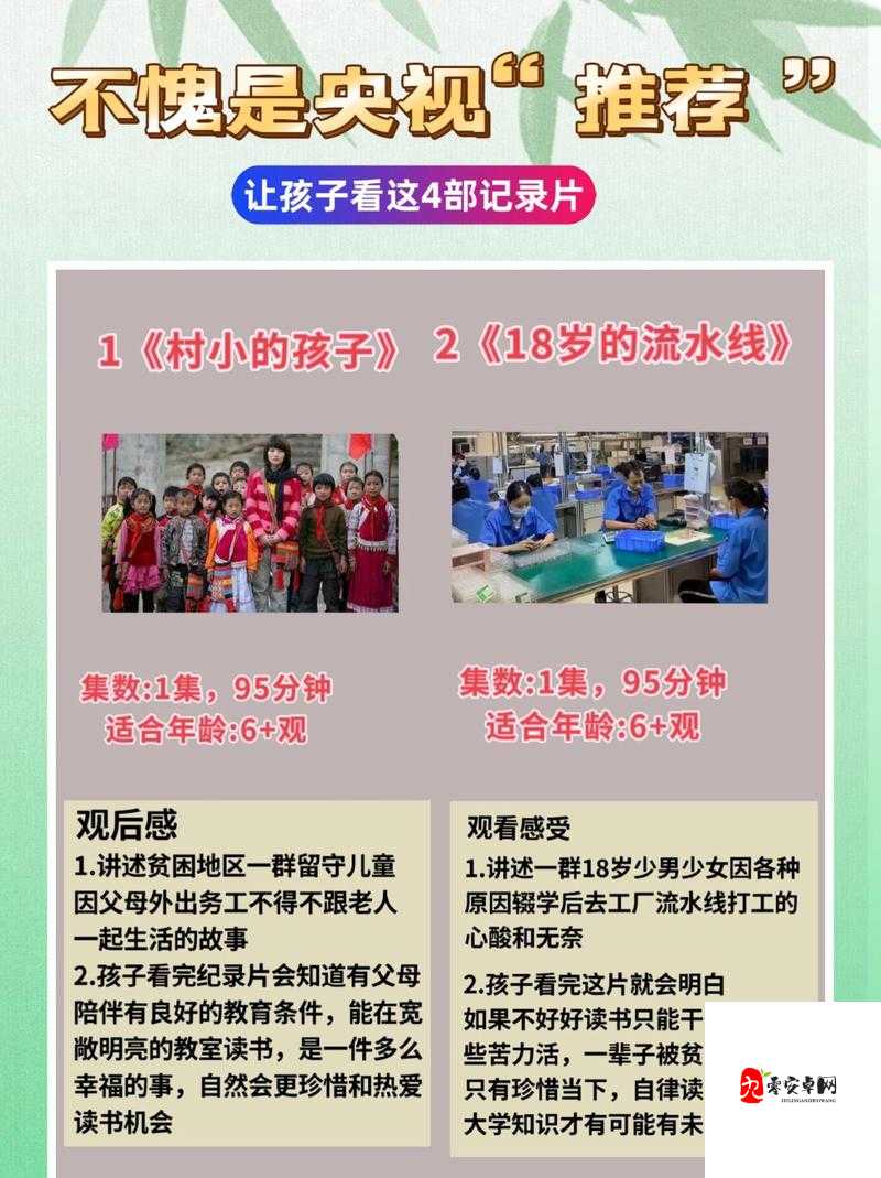 蓝莓事件背后的多元审视：从个体选择到社会价值观