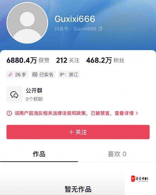 当流量神话崩塌：抖音网红被封禁到爽视频爆料背后的七项启示